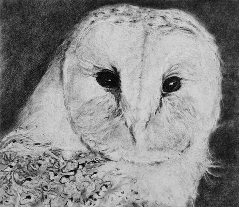 Realistische houtskool portrettekening door Leanne